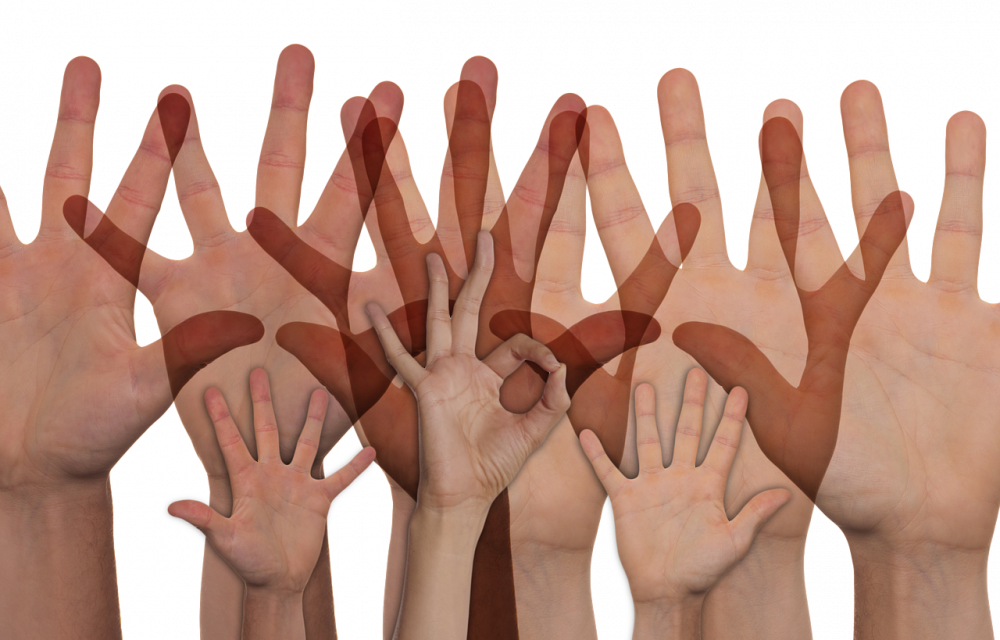 Zoekopdracht tuinonderhoud