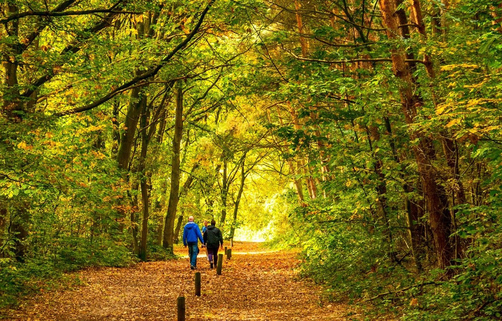 Wandelmaatje Samen Sterk