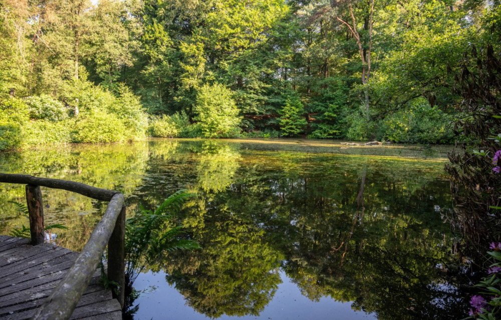 Vrijwilliger Natuurgids Springendal