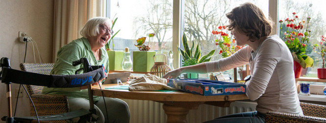 Zonnebloem Gemeente  Dinkelland (afdeling Weerselo)